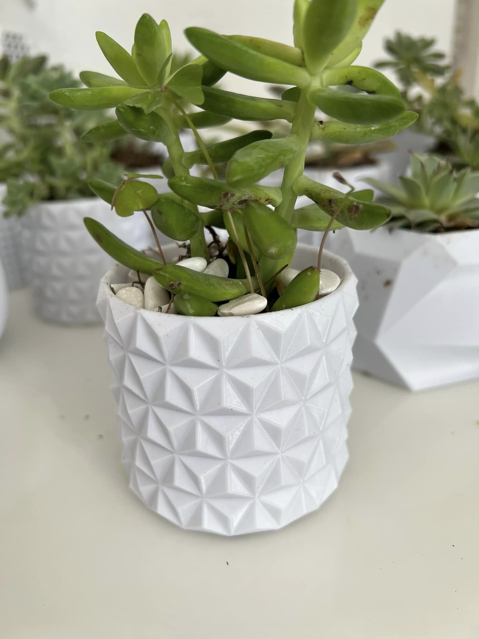 Generic placeholder image